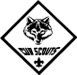 Cub Scouts