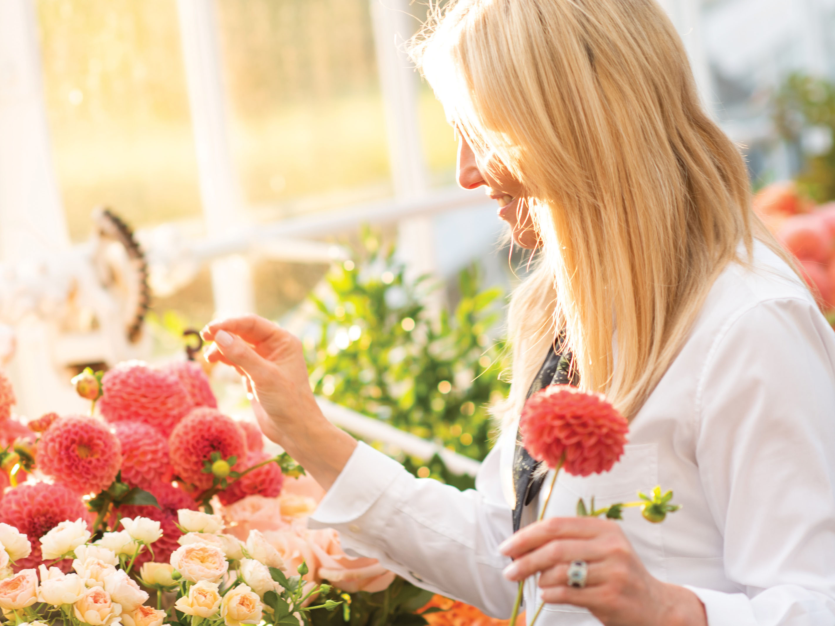 A woman in a bright, sun-filled room picks dahlias and roses for a flower arrangement