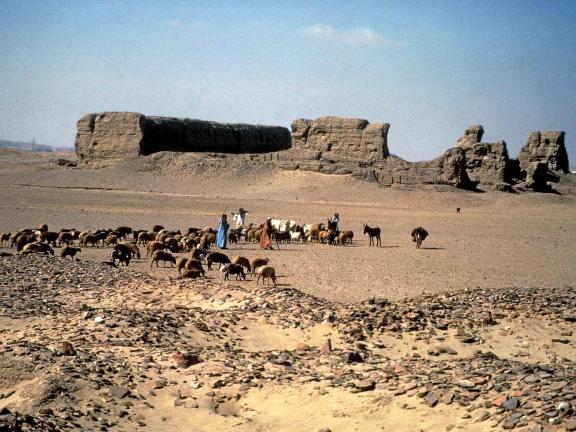 The Enclosure of Khasekhemwy, the oldest freestanding mud brick structure in the world.