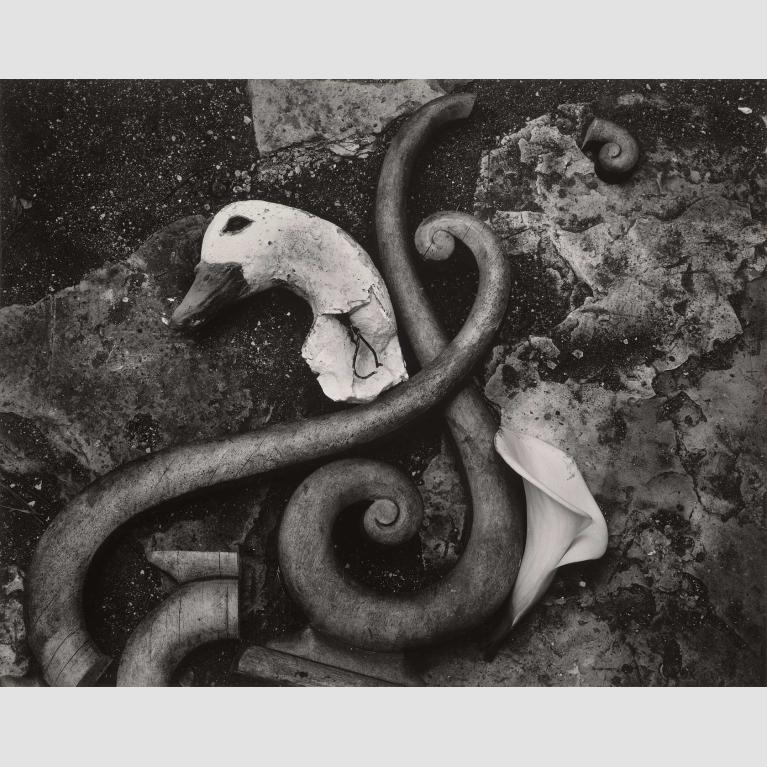 A photo of broken wooden ornamentals and a wooden bird's head on the ground.