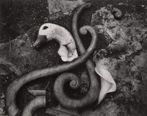 A photo of broken wooden ornamentals and a wooden bird's head on the ground.