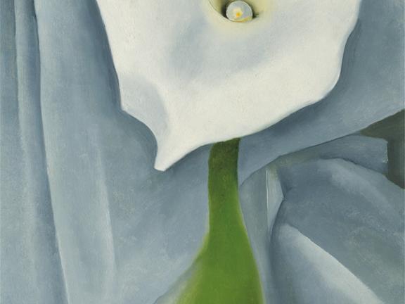 Georgia O'Keeffe, Calla Lily on Gret, 1928
