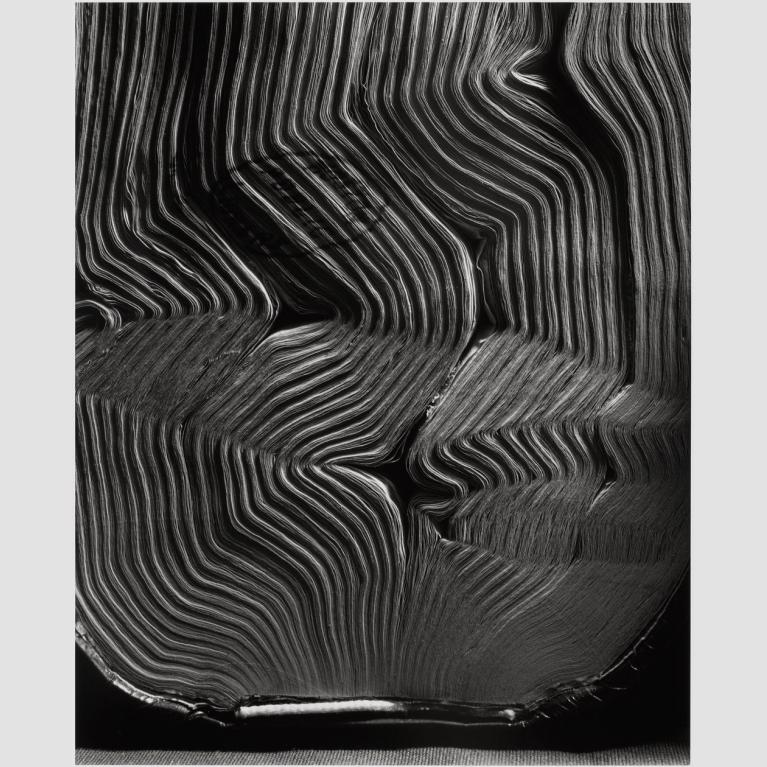 A bird's eye view photo of a book's pages made wavy from water.