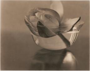A photo of a single water lily in a small glass bowl of water.