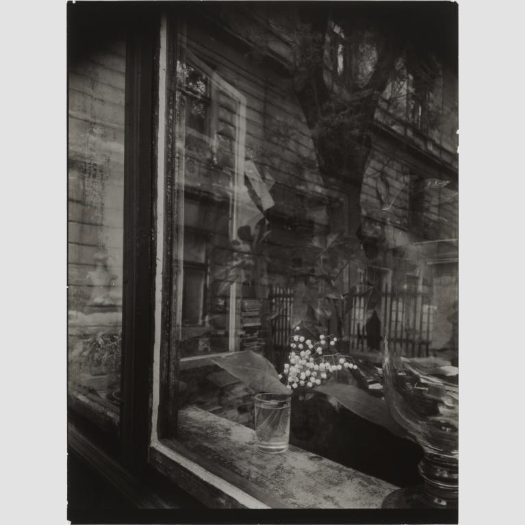 A photo of a house and tree taken through the window of a shop.