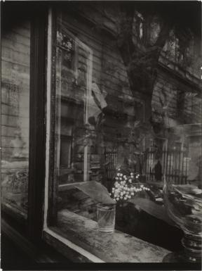 A photo of a house and tree taken through the window of a shop.