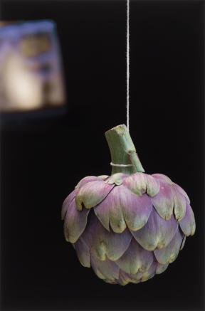 A purple and green artichoke hangs upside from a string. 