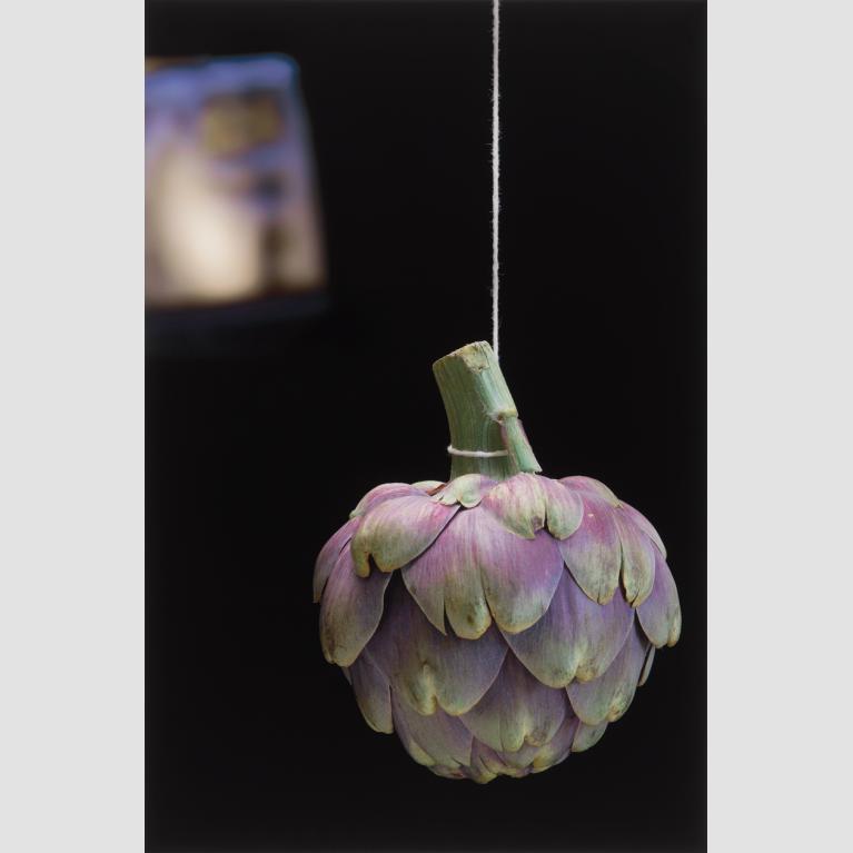 A purple and green artichoke hangs upside from a string.